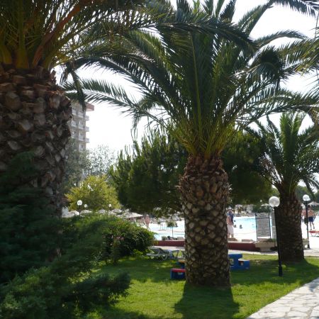 Grecia(mihaela)